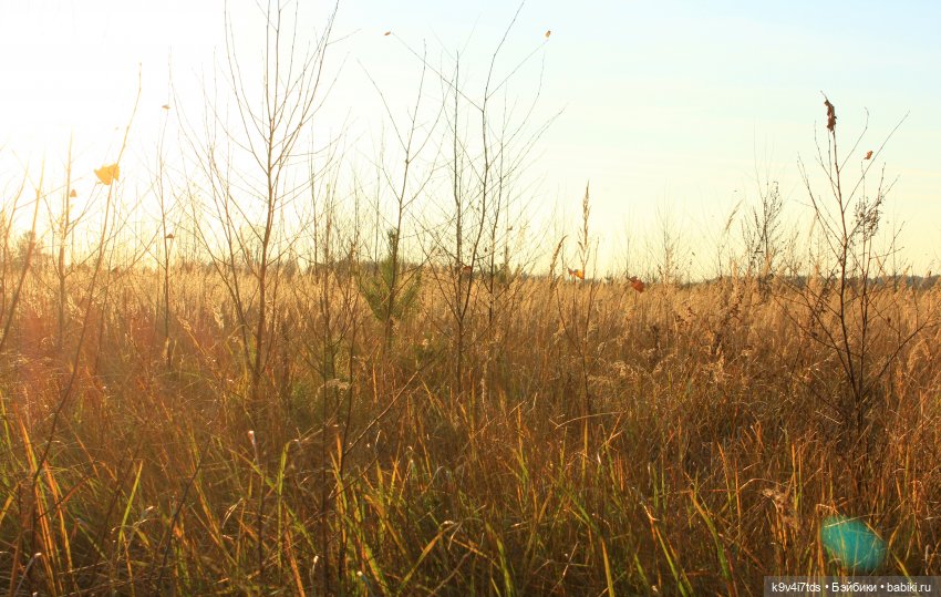 Чародейка Осень — Куклы Irrealdoll (Ирреалдолл): BJD (БЖД)