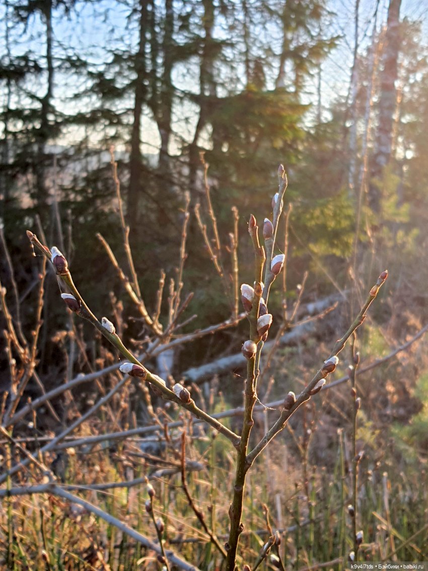 Чародейка Осень — Куклы Irrealdoll (Ирреалдолл): BJD (БЖД)