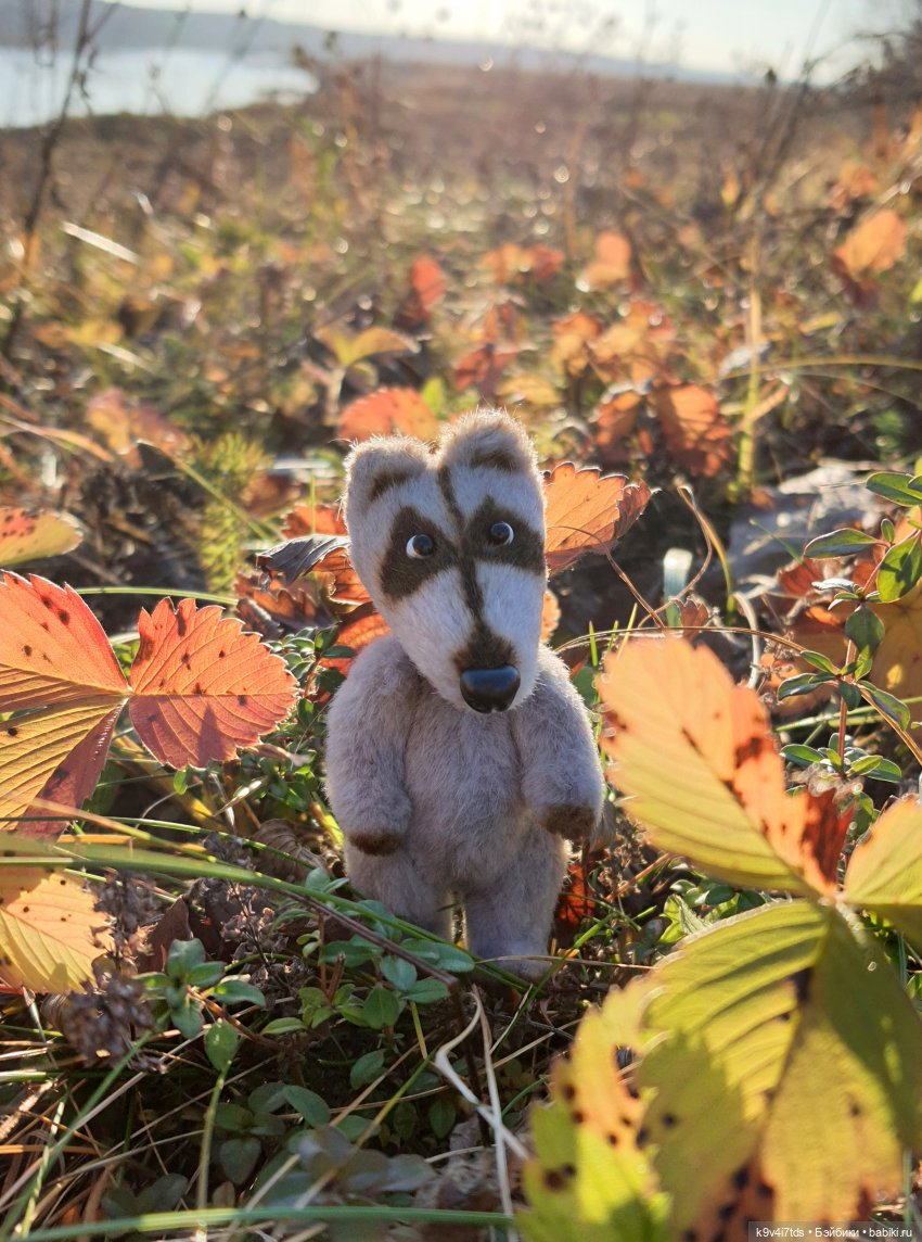 Чародейка Осень — Куклы Irrealdoll (Ирреалдолл): BJD (БЖД) (фото 8)