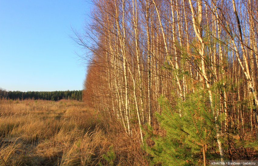 Чародейка Осень — Куклы Irrealdoll (Ирреалдолл): BJD (БЖД)