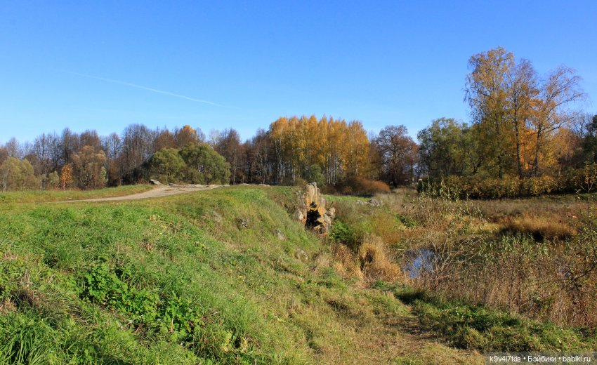 Золотая Осень в Грузинах | Бэйбики Золотая Осень в Грузинах — Куклы Sylvia Natterer (Сильвия Наттерер): Gotz