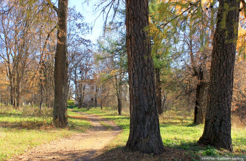 Золотая Осень в Грузинах | Бэйбики Золотая Осень в Грузинах — Куклы Sylvia Natterer (Сильвия Наттерер): Gotz