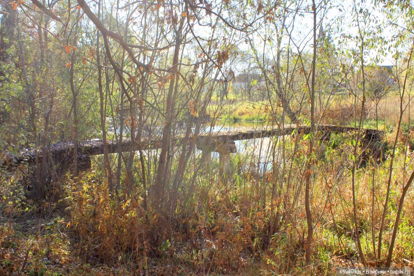 Золотая Осень в Грузинах | Бэйбики Золотая Осень в Грузинах — Куклы Sylvia Natterer (Сильвия Наттерер): Gotz