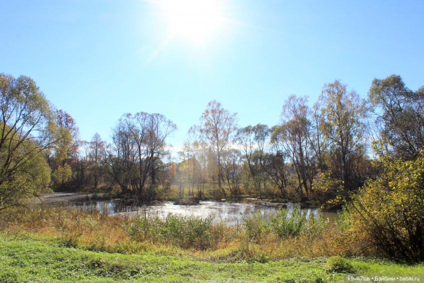 Золотая Осень в Грузинах | Бэйбики Золотая Осень в Грузинах — Куклы Sylvia Natterer (Сильвия Наттерер): Gotz