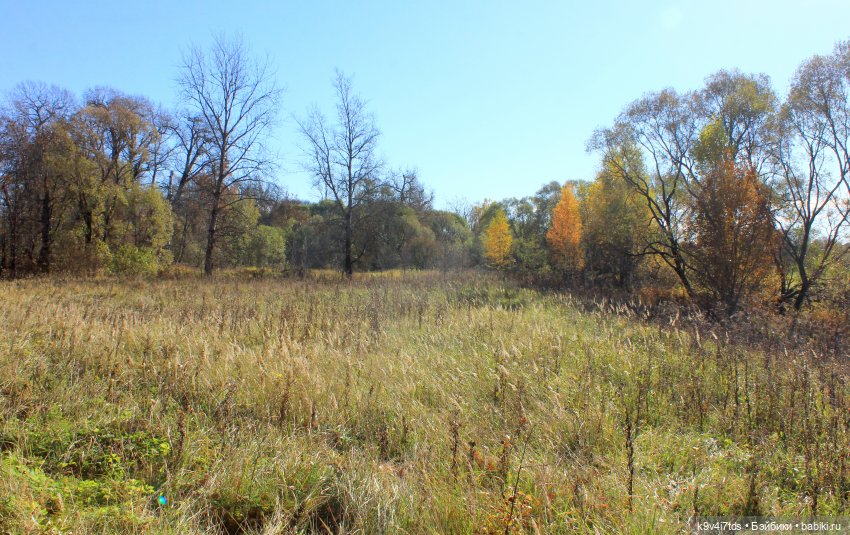 Золотая Осень в Грузинах | Бэйбики Золотая Осень в Грузинах — Куклы Sylvia Natterer (Сильвия Наттерер): Gotz