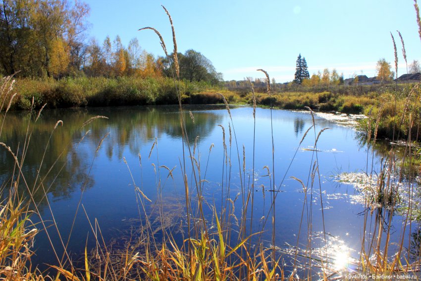 Золотая Осень в Грузинах | Бэйбики Золотая Осень в Грузинах — Куклы Sylvia Natterer (Сильвия Наттерер): Gotz (фото 9)
