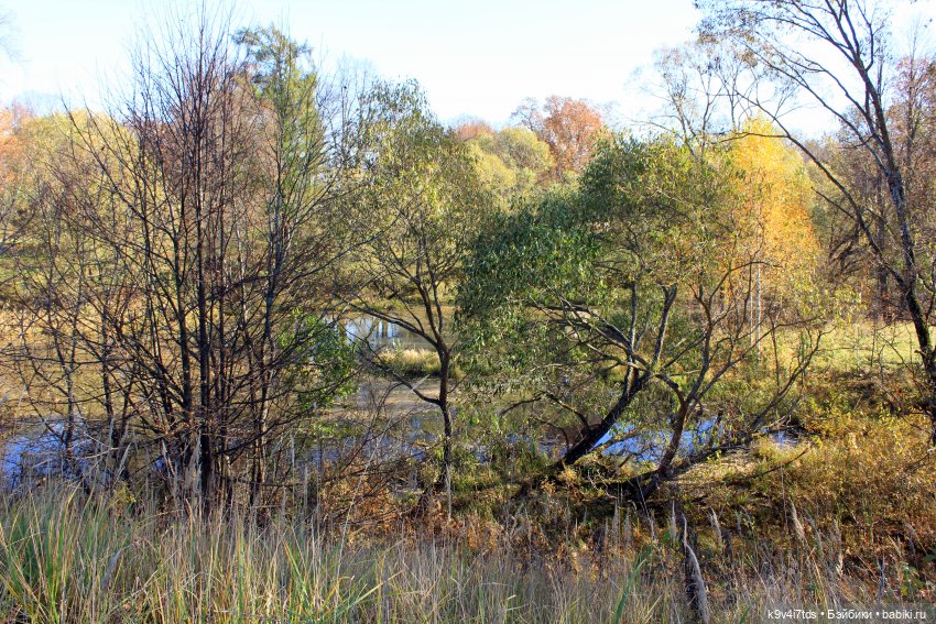 Золотая Осень в Грузинах | Бэйбики Золотая Осень в Грузинах — Куклы Sylvia Natterer (Сильвия Наттерер): Gotz