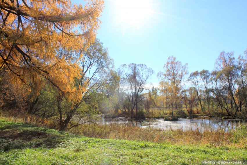 Золотая Осень в Грузинах | Бэйбики Золотая Осень в Грузинах — Куклы Sylvia Natterer (Сильвия Наттерер): Gotz