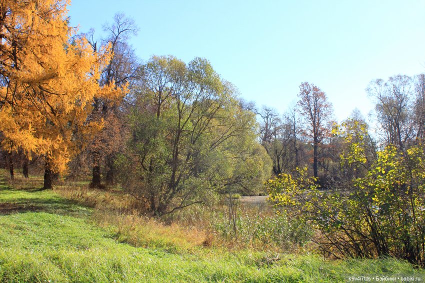 Золотая Осень в Грузинах | Бэйбики Золотая Осень в Грузинах — Куклы Sylvia Natterer (Сильвия Наттерер): Gotz