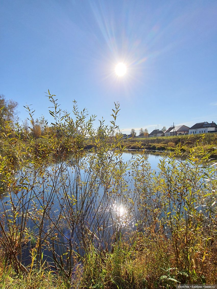 Золотая Осень в Грузинах | Бэйбики Золотая Осень в Грузинах — Куклы Sylvia Natterer (Сильвия Наттерер): Gotz