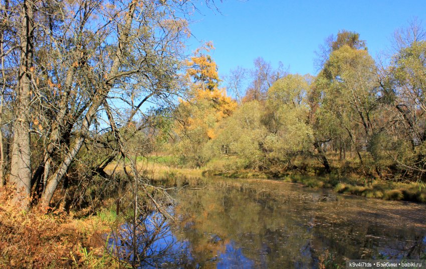 Золотая Осень в Грузинах | Бэйбики Золотая Осень в Грузинах — Куклы Sylvia Natterer (Сильвия Наттерер): Gotz