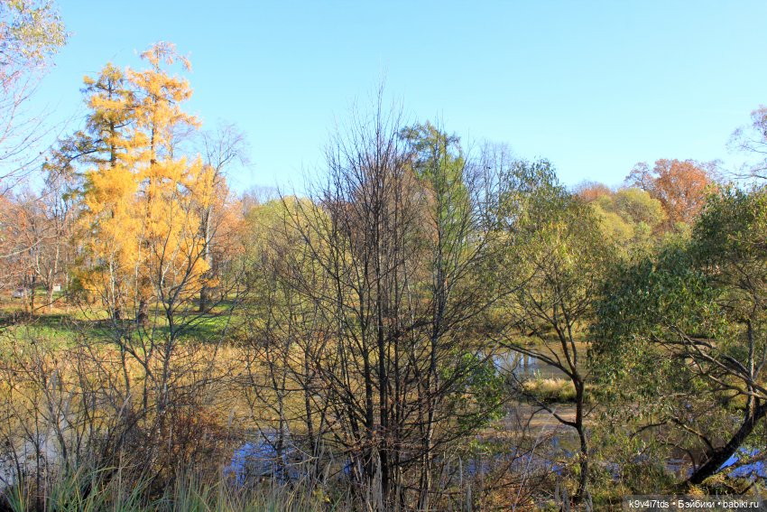 Золотая Осень в Грузинах | Бэйбики Золотая Осень в Грузинах — Куклы Sylvia Natterer (Сильвия Наттерер): Gotz