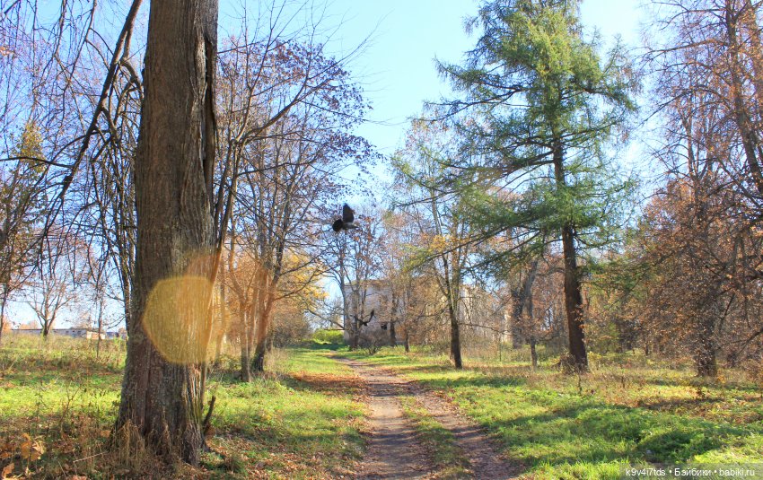Золотая Осень в Грузинах | Бэйбики Золотая Осень в Грузинах — Куклы Sylvia Natterer (Сильвия Наттерер): Gotz