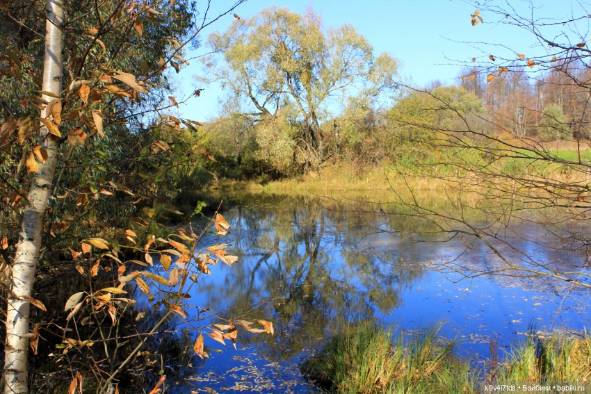 Золотая Осень в Грузинах | Бэйбики Золотая Осень в Грузинах — Куклы Sylvia Natterer (Сильвия Наттерер): Gotz