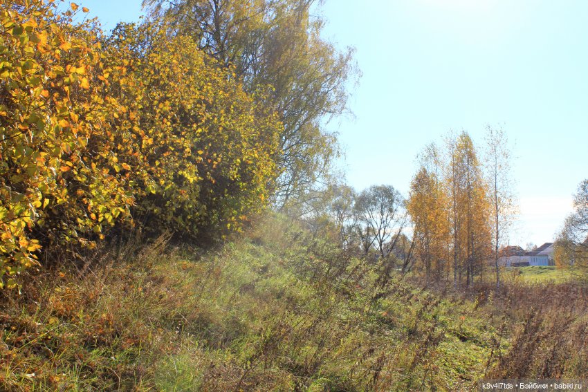 Золотая Осень в Грузинах | Бэйбики Золотая Осень в Грузинах — Куклы Sylvia Natterer (Сильвия Наттерер): Gotz