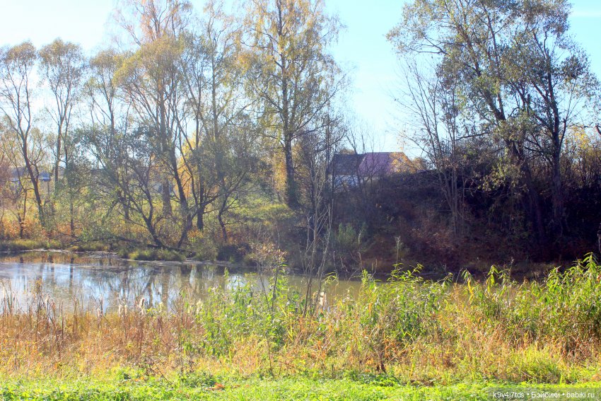 Золотая Осень в Грузинах | Бэйбики Золотая Осень в Грузинах — Куклы Sylvia Natterer (Сильвия Наттерер): Gotz