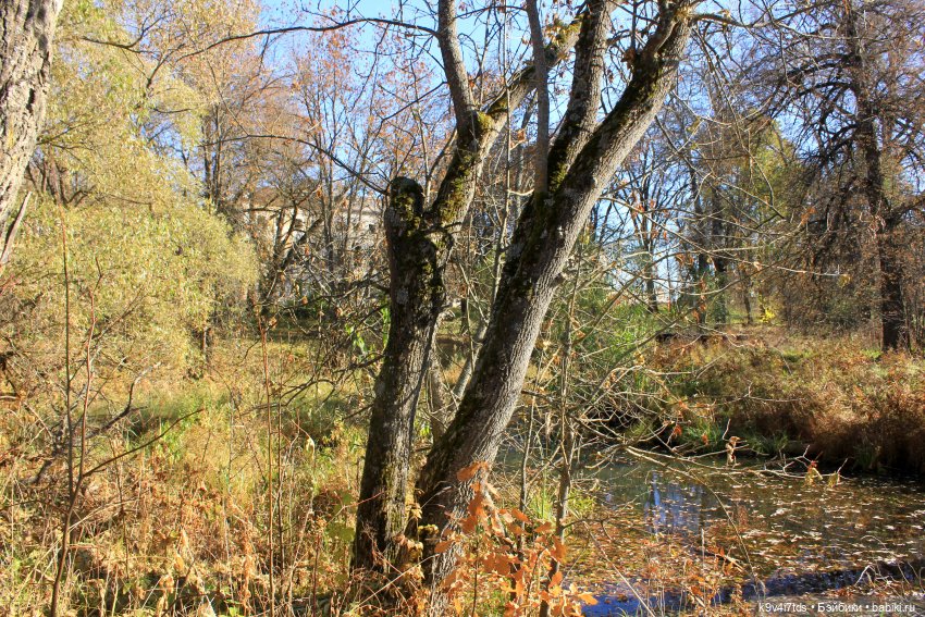 Золотая Осень в Грузинах | Бэйбики Золотая Осень в Грузинах — Куклы Sylvia Natterer (Сильвия Наттерер): Gotz