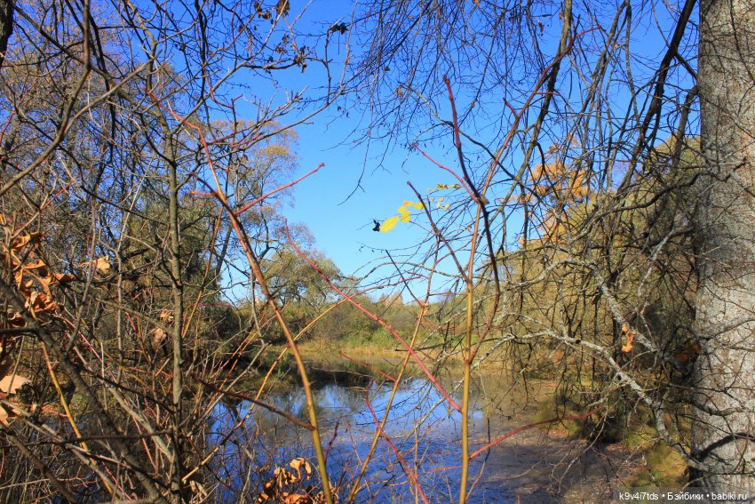 Золотая Осень в Грузинах | Бэйбики Золотая Осень в Грузинах — Куклы Sylvia Natterer (Сильвия Наттерер): Gotz