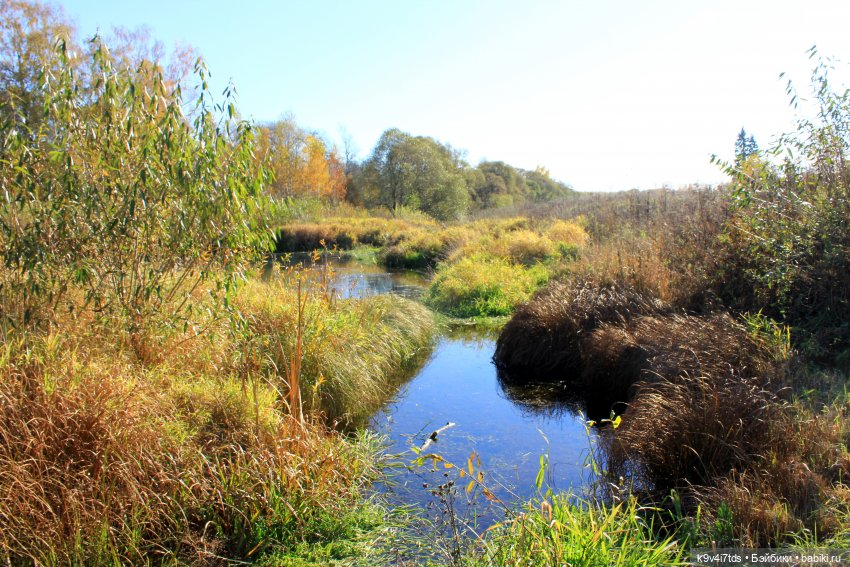 Золотая Осень в Грузинах | Бэйбики Золотая Осень в Грузинах — Куклы Sylvia Natterer (Сильвия Наттерер): Gotz (фото 4)