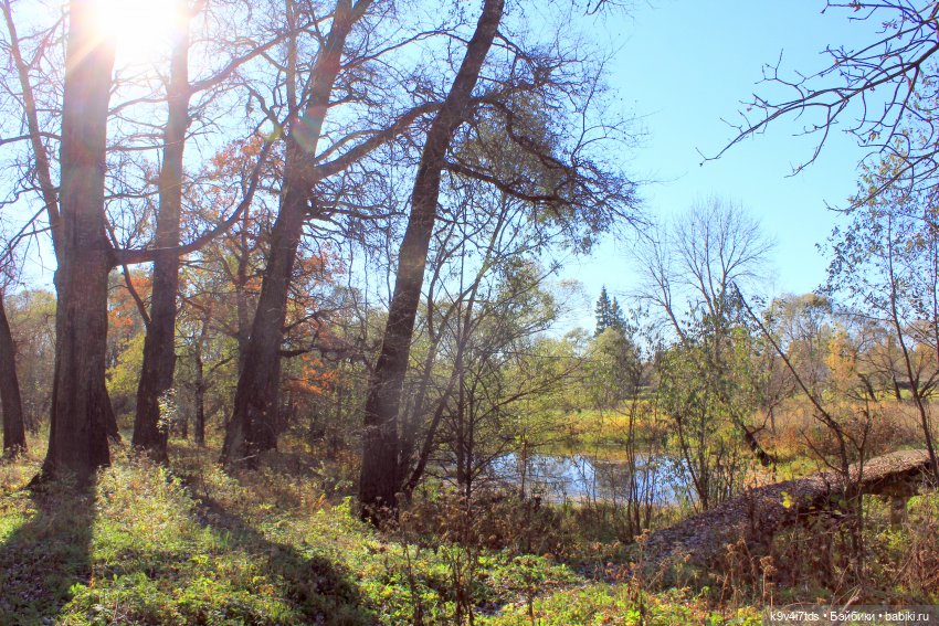 Золотая Осень в Грузинах | Бэйбики Золотая Осень в Грузинах — Куклы Sylvia Natterer (Сильвия Наттерер): Gotz