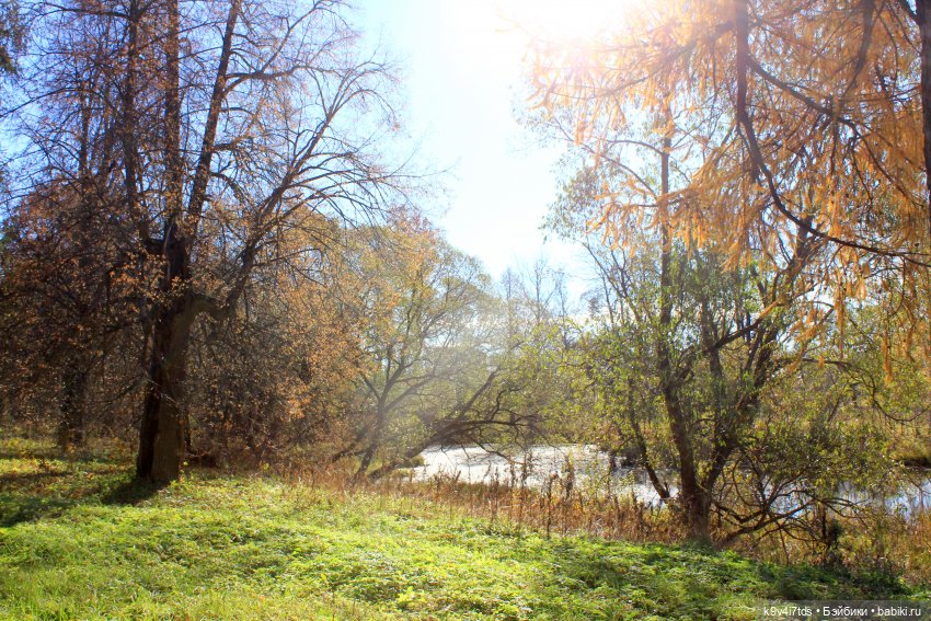 Золотая Осень в Грузинах | Бэйбики Золотая Осень в Грузинах — Куклы Sylvia Natterer (Сильвия Наттерер): Gotz