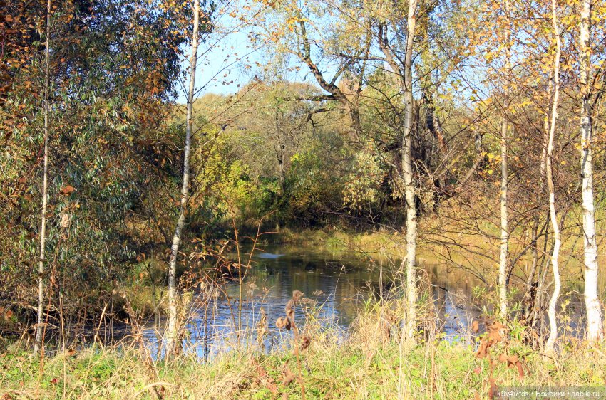 Золотая Осень в Грузинах | Бэйбики Золотая Осень в Грузинах — Куклы Sylvia Natterer (Сильвия Наттерер): Gotz