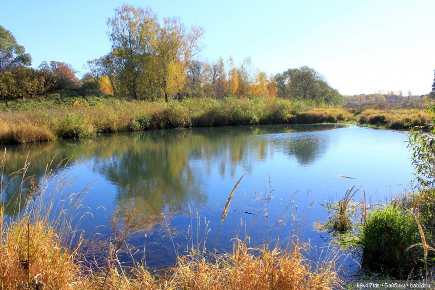 Золотая Осень в Грузинах | Бэйбики Золотая Осень в Грузинах — Куклы Sylvia Natterer (Сильвия Наттерер): Gotz (фото 6)