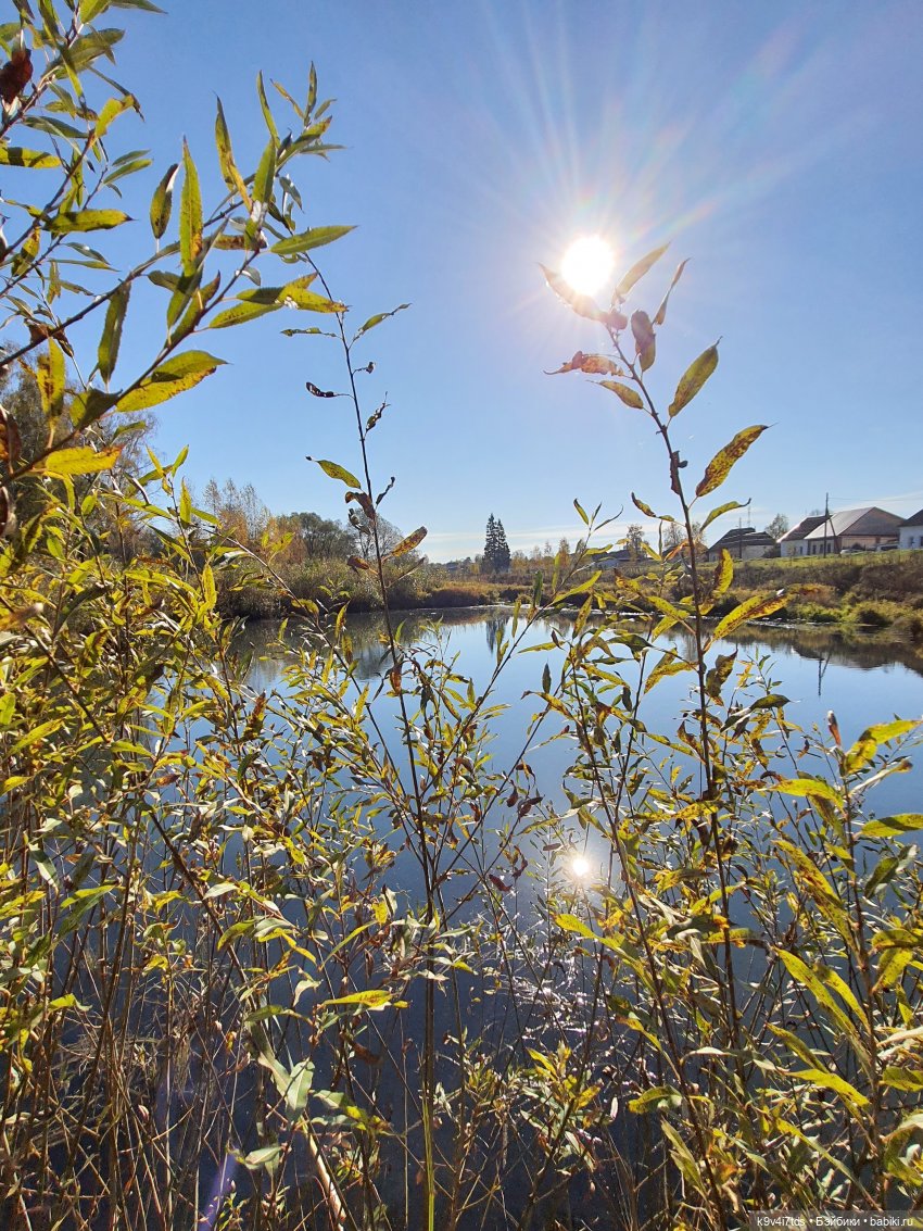 Золотая Осень в Грузинах | Бэйбики Золотая Осень в Грузинах — Куклы Sylvia Natterer (Сильвия Наттерер): Gotz