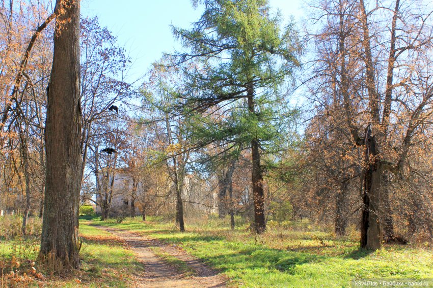 Золотая Осень в Грузинах | Бэйбики Золотая Осень в Грузинах — Куклы Sylvia Natterer (Сильвия Наттерер): Gotz