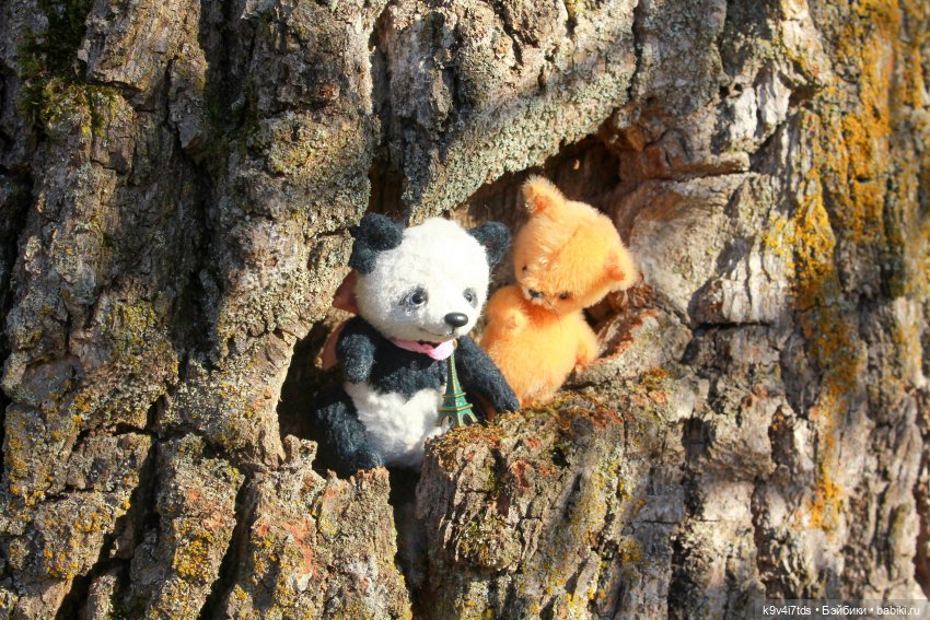 Золотая Осень в Грузинах | Бэйбики Золотая Осень в Грузинах — Куклы Sylvia Natterer (Сильвия Наттерер): Gotz