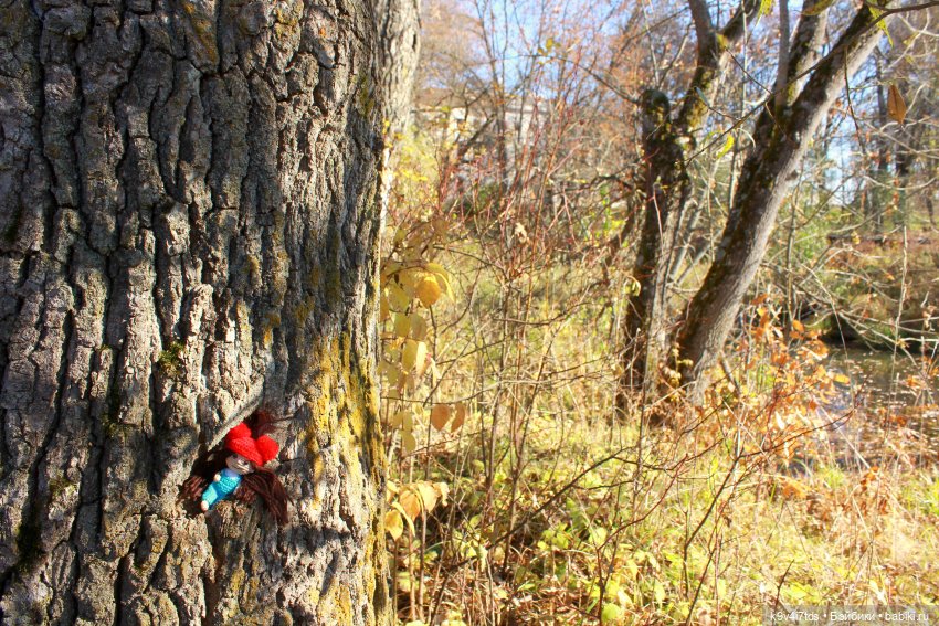Золотая Осень в Грузинах | Бэйбики Золотая Осень в Грузинах — Куклы Sylvia Natterer (Сильвия Наттерер): Gotz