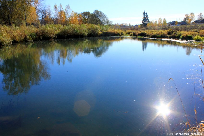 Золотая Осень в Грузинах | Бэйбики Золотая Осень в Грузинах — Куклы Sylvia Natterer (Сильвия Наттерер): Gotz