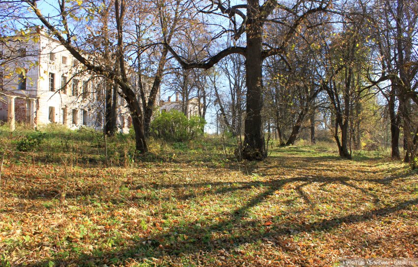 Золотая Осень в Грузинах | Бэйбики Золотая Осень в Грузинах — Куклы Sylvia Natterer (Сильвия Наттерер): Gotz