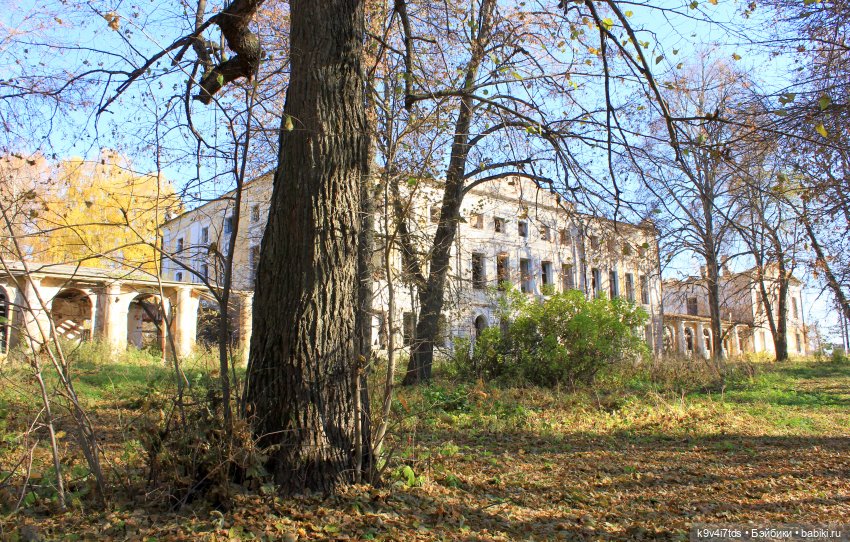 Золотая Осень в Грузинах | Бэйбики Золотая Осень в Грузинах — Куклы Sylvia Natterer (Сильвия Наттерер): Gotz