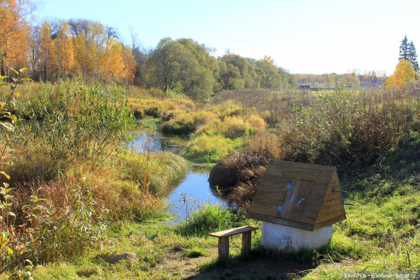 Золотая Осень в Грузинах | Бэйбики Золотая Осень в Грузинах — Куклы Sylvia Natterer (Сильвия Наттерер): Gotz (фото 2)