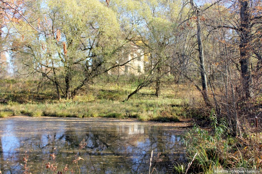 Золотая Осень в Грузинах | Бэйбики Золотая Осень в Грузинах — Куклы Sylvia Natterer (Сильвия Наттерер): Gotz