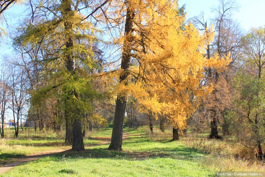 Золотая Осень в Грузинах | Бэйбики Золотая Осень в Грузинах — Куклы Sylvia Natterer (Сильвия Наттерер): Gotz