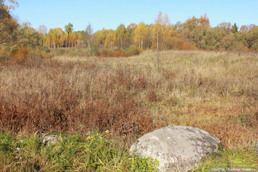 Золотая Осень в Грузинах | Бэйбики Золотая Осень в Грузинах — Куклы Sylvia Natterer (Сильвия Наттерер): Gotz