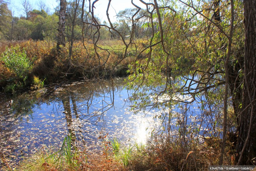 Золотая Осень в Грузинах | Бэйбики Золотая Осень в Грузинах — Куклы Sylvia Natterer (Сильвия Наттерер): Gotz