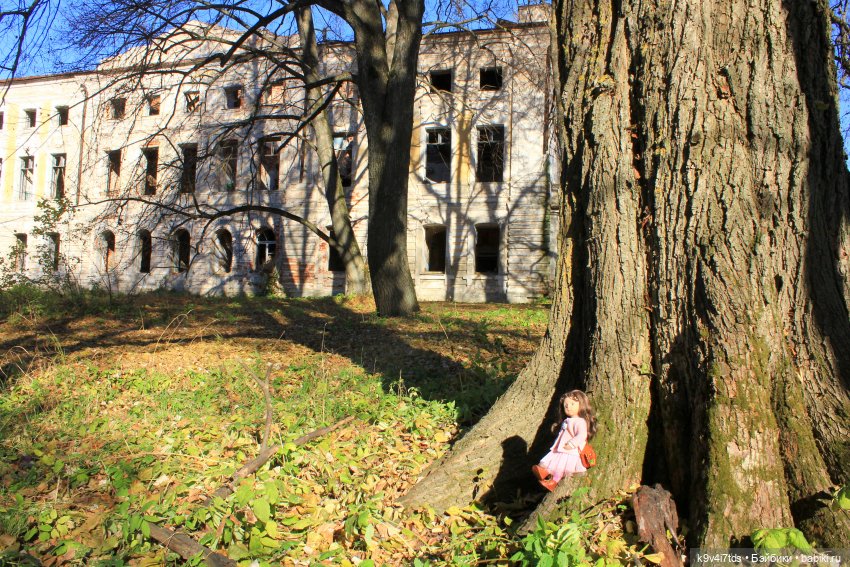 Золотая Осень в Грузинах | Бэйбики Золотая Осень в Грузинах — Куклы Sylvia Natterer (Сильвия Наттерер): Gotz