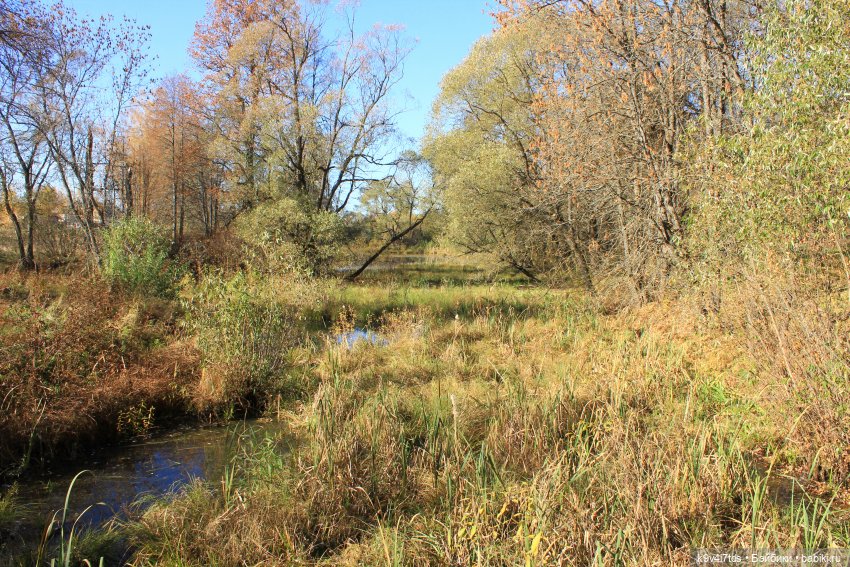 Золотая Осень в Грузинах | Бэйбики Золотая Осень в Грузинах — Куклы Sylvia Natterer (Сильвия Наттерер): Gotz