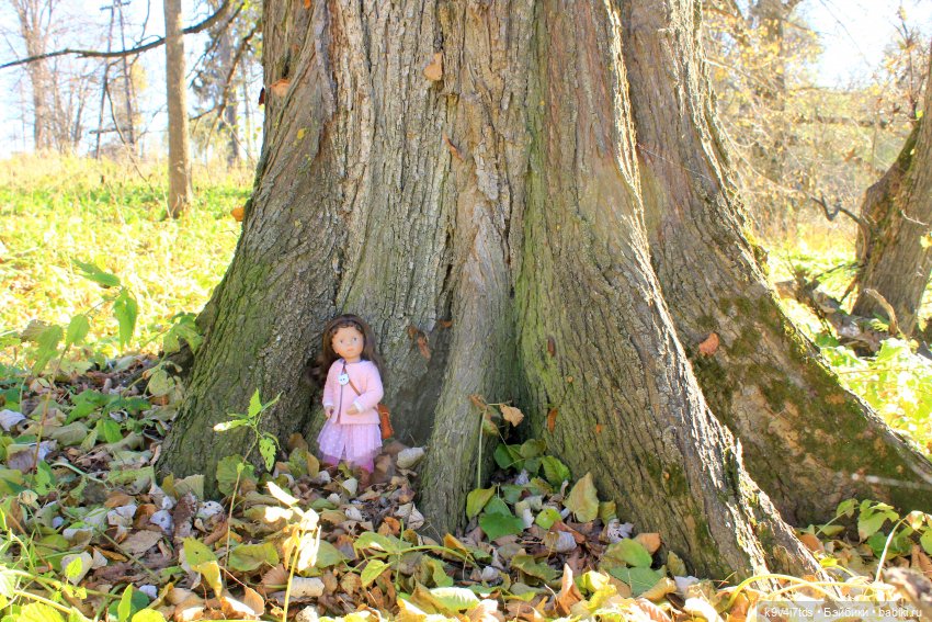 Золотая Осень в Грузинах | Бэйбики Золотая Осень в Грузинах — Куклы Sylvia Natterer (Сильвия Наттерер): Gotz