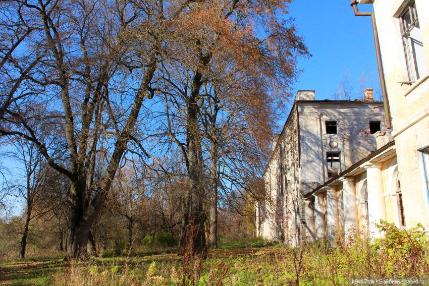 Золотая Осень в Грузинах | Бэйбики Золотая Осень в Грузинах — Куклы Sylvia Natterer (Сильвия Наттерер): Gotz