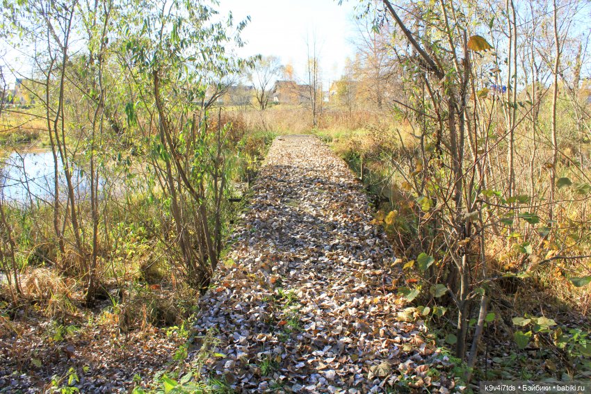 Золотая Осень в Грузинах | Бэйбики Золотая Осень в Грузинах — Куклы Sylvia Natterer (Сильвия Наттерер): Gotz