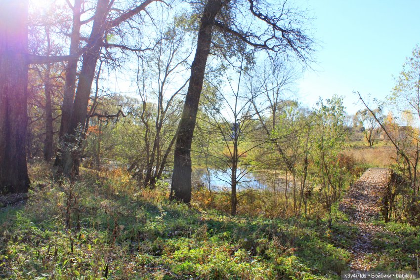 Золотая Осень в Грузинах | Бэйбики Золотая Осень в Грузинах — Куклы Sylvia Natterer (Сильвия Наттерер): Gotz