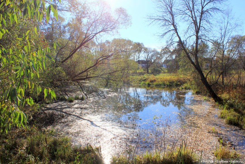 Золотая Осень в Грузинах | Бэйбики Золотая Осень в Грузинах — Куклы Sylvia Natterer (Сильвия Наттерер): Gotz