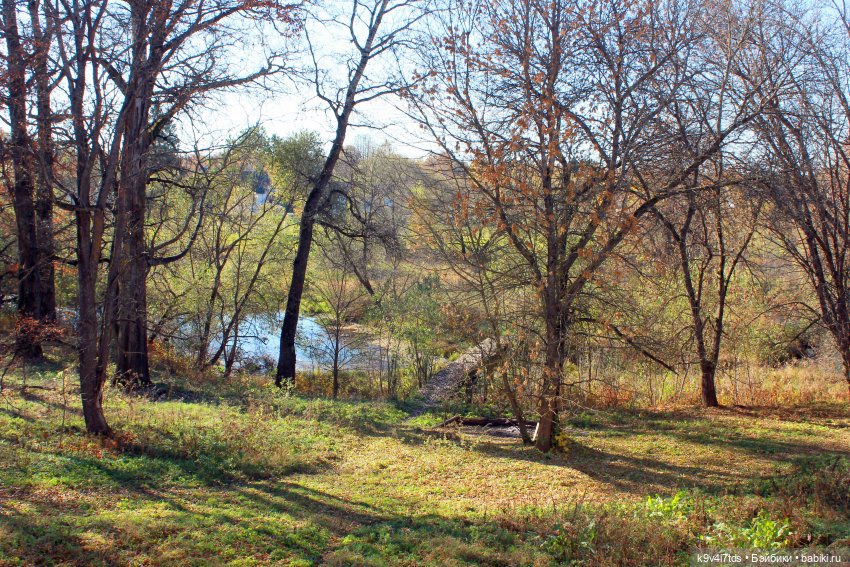 Золотая Осень в Грузинах | Бэйбики Золотая Осень в Грузинах — Куклы Sylvia Natterer (Сильвия Наттерер): Gotz