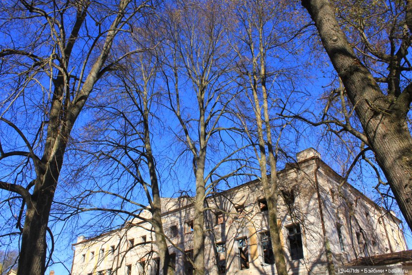 Золотая Осень в Грузинах | Бэйбики Золотая Осень в Грузинах — Куклы Sylvia Natterer (Сильвия Наттерер): Gotz