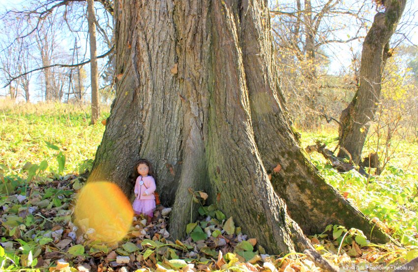 Золотая Осень в Грузинах | Бэйбики Золотая Осень в Грузинах — Куклы Sylvia Natterer (Сильвия Наттерер): Gotz