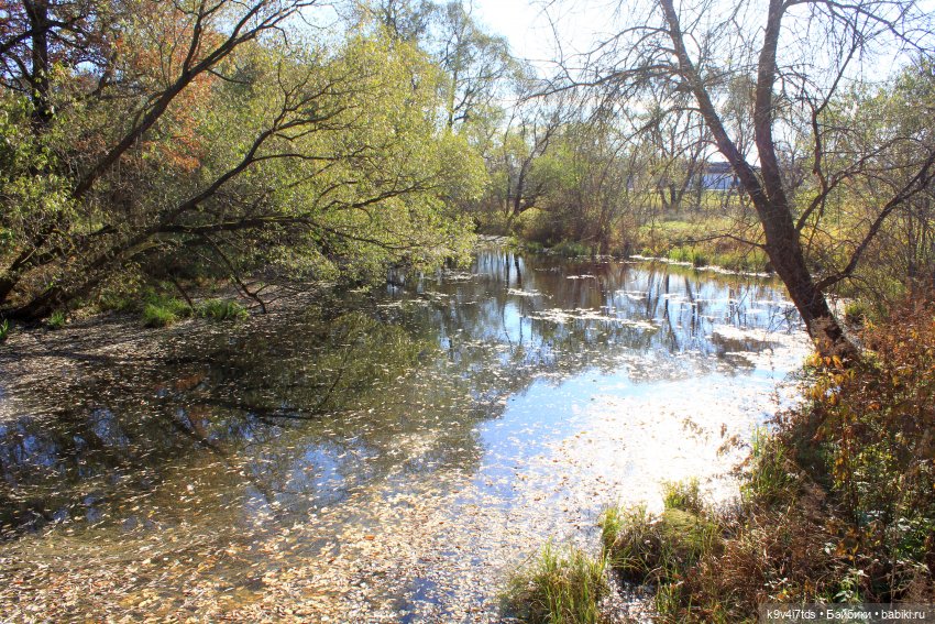 Золотая Осень в Грузинах | Бэйбики Золотая Осень в Грузинах — Куклы Sylvia Natterer (Сильвия Наттерер): Gotz
